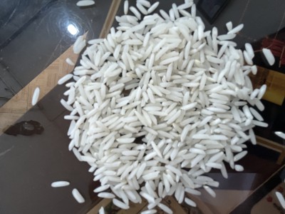 برنج شیرودی
