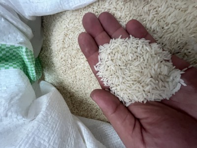 برنج هاشمی درصدی