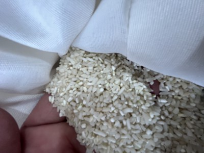 برنج لاشه محلی